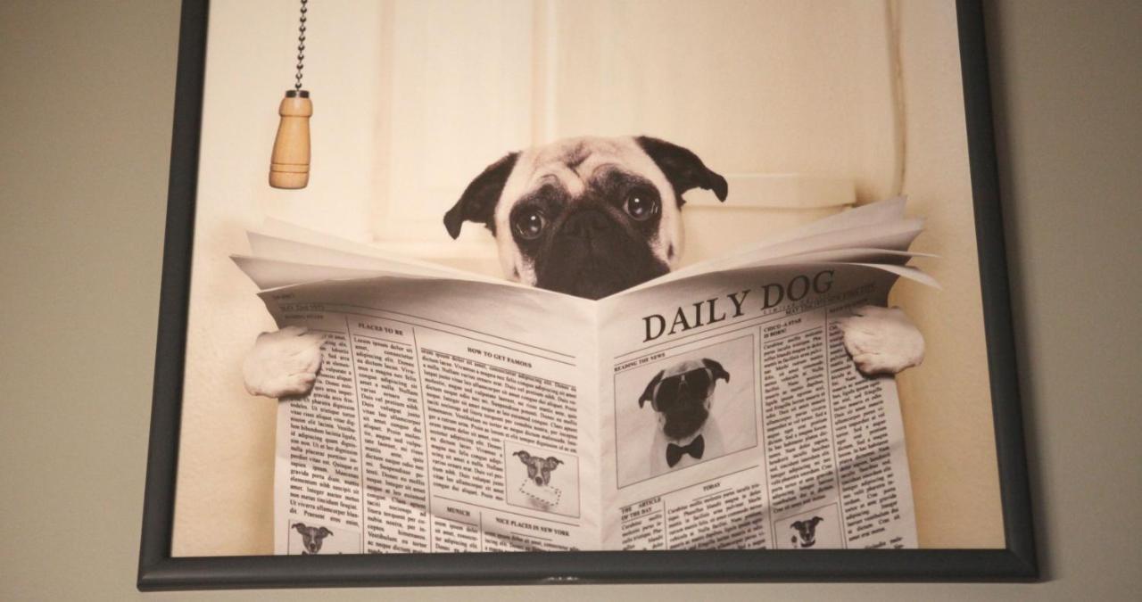 Woof & Sun Villa Езмориз Екстериор снимка